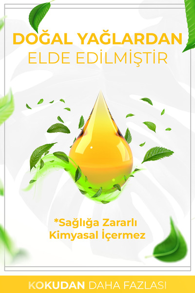 AURAN Şeftali Esintisi Çubuklu Oda Kokusu Bambu Kokusu Peach Breeze Reed Diffuser 50ml