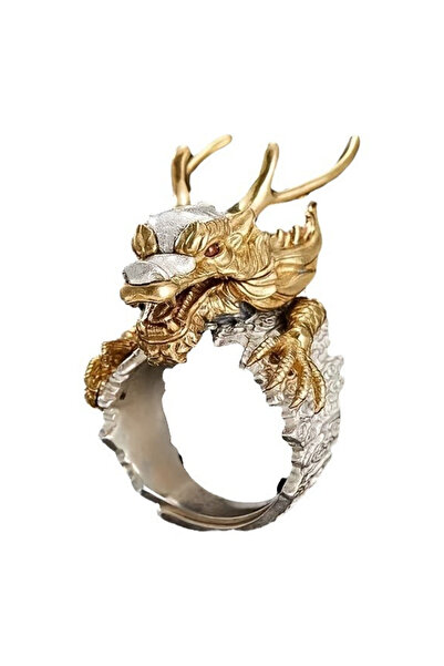 EFAYN.RO Unisex ring, mythological model with special dragon, adjustable, sil...