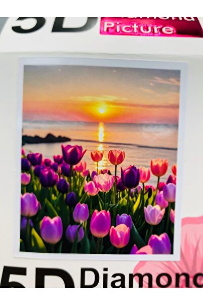 DUCK HOBY لوحة فسيفساء من أحجار الماس مقاس 50 × 40، لوحة منقوشة بالألماس، صور...