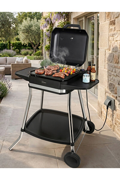 Zilan Elektrický gril ZLN2502, Nastavitelný termostat, Miska na sběr tuku, Ko...