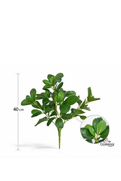 çiçek rengi dekor Premium Artificial Green Schefflera Branch 40 cm – Realisti...