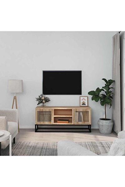 Concept Έπιπλο τηλεόρασης, 105x30x45 εκ., επεξεργασμένο ξύλο και σίδηρος