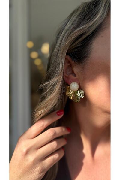 Nole&Co. Stone Steel Earrings