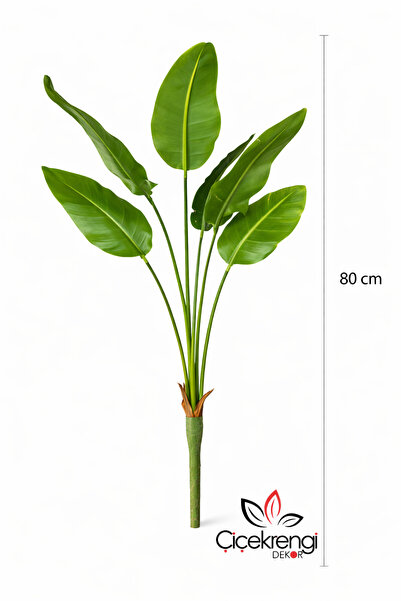 çiçek rengi dekor Premium Yapay Starliçe Dal 80 cm – Gerçekçi Yeşil Dekoratif...