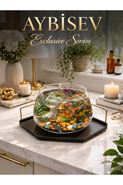 Okay Beta Balığı İçin Modern İç Mekânlar İçin Premium Cam Fanus Beta Balığı A...