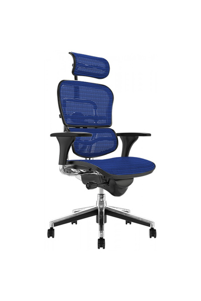Concept Mobili Διευθύνουσα καρέκλα ERGOHUMAN Plus, μπλε πλέγμα, προσκέφαλο 2D...