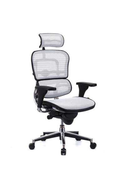Concept Mobili ERGOHUMAN Plus διευθυντική καρέκλα, mesh λευκό, προσκέφαλο 2D,...