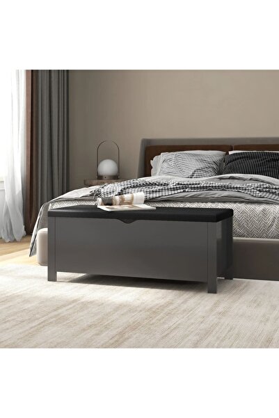 Concept Banchetă pantofar cu pernă, gri, 105x40x45 cm, PAL