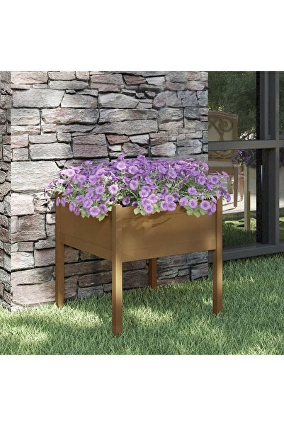 Concept Γλάστρα κήπου, μελί καφέ, 70x70x70 cm, μασίφ ξύλο πεύκου