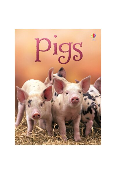 Usborne Începători - Porci
