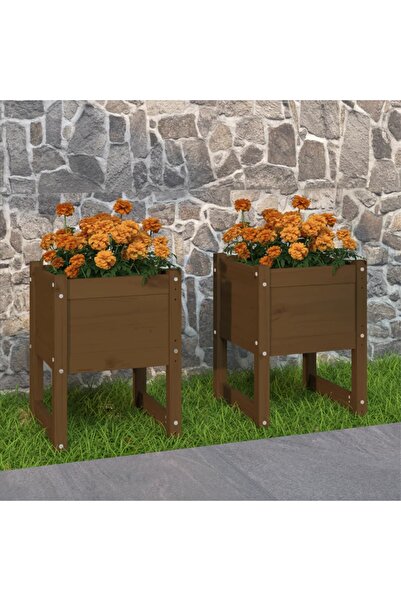 Concept Γλάστρες, 2 τεμ., καφέ μελί, 40x40x52,5cm, μασίφ ξύλο πεύκου