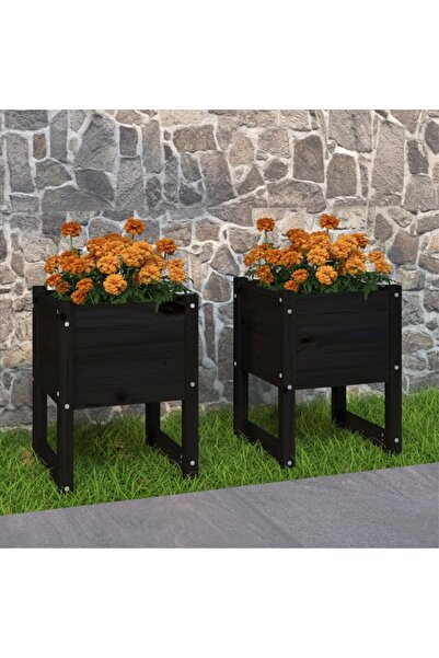 Concept Γλάστρες, 2 τεμ., Μαύρες, 40x40x52,5 cm, μασίφ ξύλο πεύκου