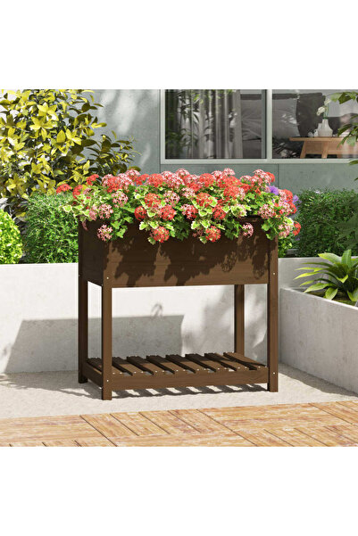 Concept Γλάστρα με ράφι, μελί καφέ, 82,5x54x81 cm, μασίφ ξύλο πεύκου