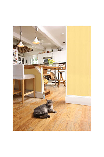 PetSafe Ssscat pet removal spray, 1 m 6059A