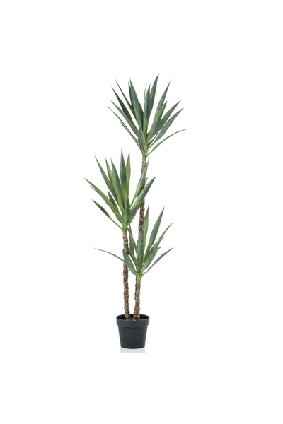 EMERALD Yucca artificială în ghiveci, 150 cm