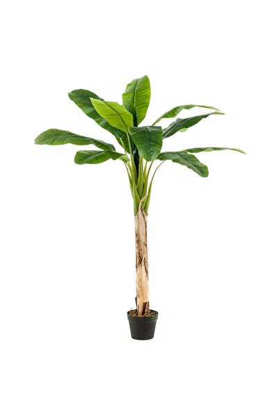 EMERALD Τεχνητή μπανανιά σε γλάστρα, 120 εκ.