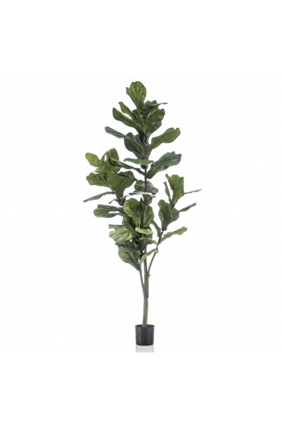 EMERALD Ficus artificial Lyrata 160 cm