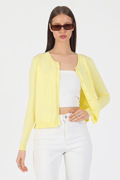 EKİN DEMİR Round Neck Buttoned Basic Stylish Knitwear Cardigan Minimal Design