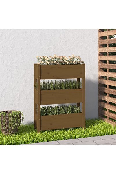 Concept Γλάστρα, μελί καφέ, 77 x 25 x 104,5 cm, μασίφ ξύλο πεύκου