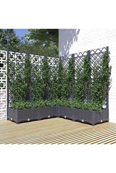 Concept Γλάστρα κήπου με πέργκολα, σκούρο γκρι, 120x120x121,5 εκ., PP