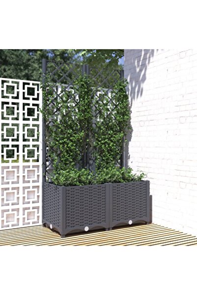 Concept Γλάστρα κήπου με πέργκολα, σκούρο γκρι, 80x40x136 cm, PP