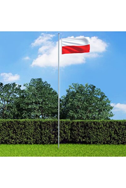 Concept Steag Polonia, 90 x 150 cm