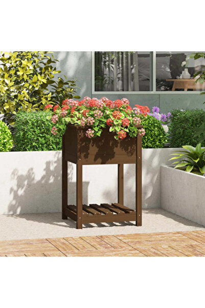 Concept Γλάστρα με ράφι, μελί καφέ, 54x54x81 cm, μασίφ ξύλο πεύκου