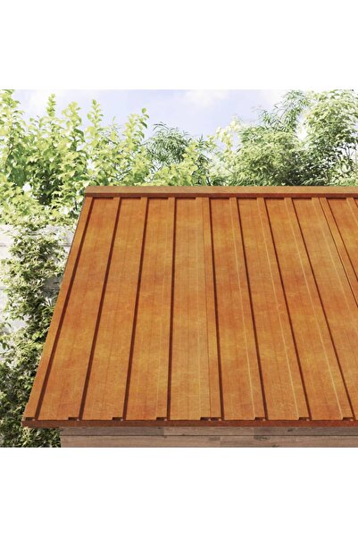 Concept Panouri de acoperiș, 12 buc., ruginiu, 100x44 cm, oțel corten