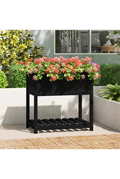 Concept Γλάστρα με ράφι, μαύρη, 82,5x54x81 cm, από μασίφ ξύλο πεύκου