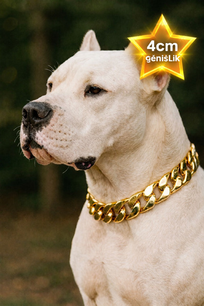 LOOL PREMİUM 4cm KALIN ZİNCİR TASMA KÖPEK, ALTIN, GÜMÜŞ, METALİK HAFİF MALZEM...