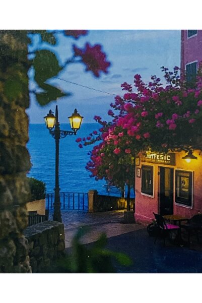 EleganTShoP 5D Yapışan Boncuk Mozaik Tablo 40*50 cm H5X05