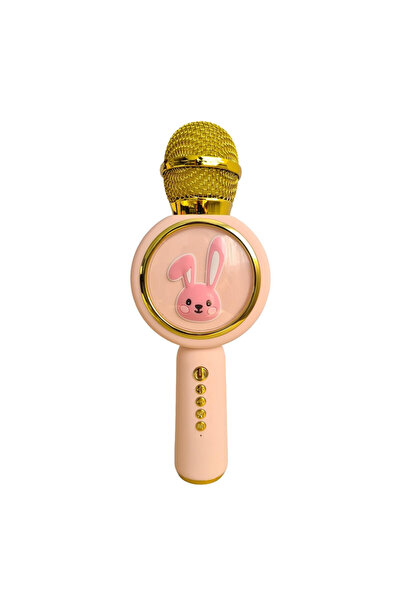 OEM Karaoke microphone for children, with radio, blue, Bluetooth, USB, SD car...