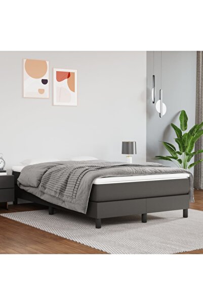Concept Pat box spring cu saltea, gri, 120x200 cm, piele ecologică