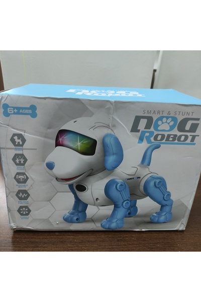 Game Uzaktan Kumandalı Oyuncak Robot