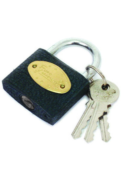 top Lacat metal 25mm TS