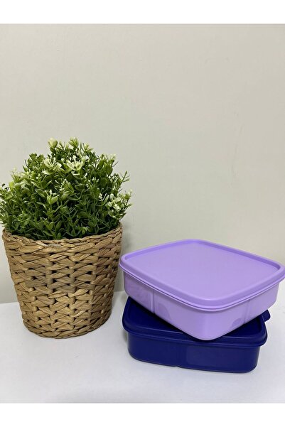 Tupperware Compartmented Lunch Box 2 Pieces 550 Ml.