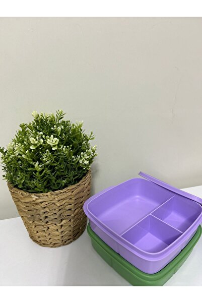 Tupperware صندوق غداء مقسم 2 قطعة 550 مل.