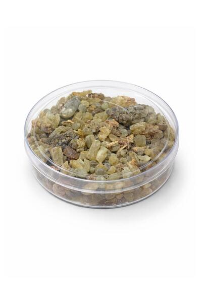 Roz بخور لبان 250 جرام اخضر زيتي اللون .