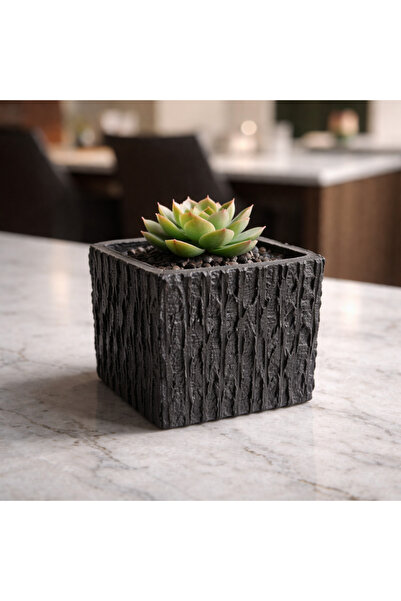 Taş Devri İSM Marble Basalt Succulent Cobalt I, Home Decoration Product 10*10...
