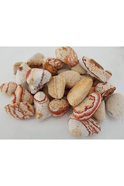 Asenya Sarı Çizgili Dolomit Taş 20kg 2-4cm Dere Taşı Çakıl Taşı Bahçe Süs Taş...
