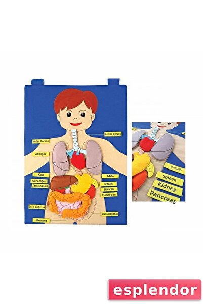 esplendor AND-5120 لوحة فيلكرو لجسمنا