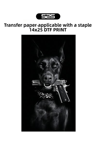 525 Iron-On Textile Dtf Printing T-Shirt Printing