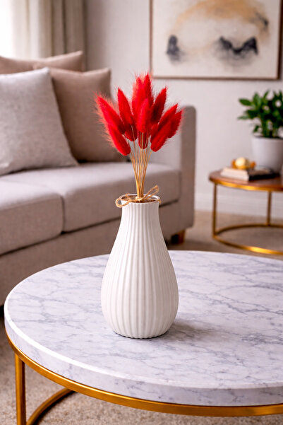 ÇINARASYADAHOME Buchet de iarbă de bumbac uscată naturală de culoare roșie (l...