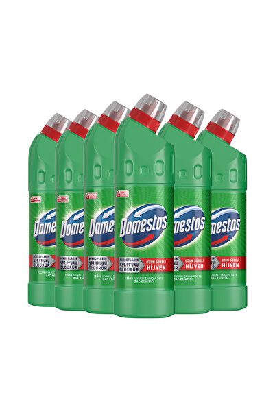 Domestos Yoğun Kıvamlı Çamaşır Suyu Dağ Esintisi 750 ml x6