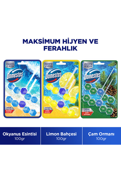 Domestos Tuvalet Bloğu Limon Bahçesi 100 G x1 Okyanus Esintisi 100 G x1 Çam O...