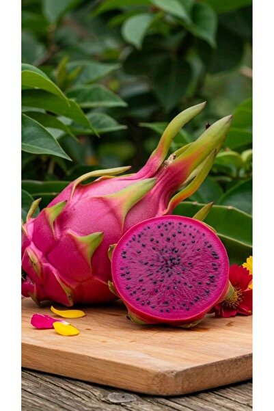 Tropik Dükkanım Dalından Taze Ejder Meyvesi 1 KG