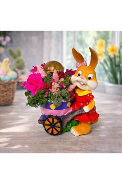 velve Aranjament floral Bunny, iepuras fetita,carut cu licheni criogenati sta...