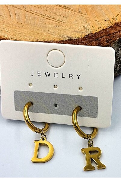 Monalisa Home Luxury Steel Earrings - Zircon Stone Detailed