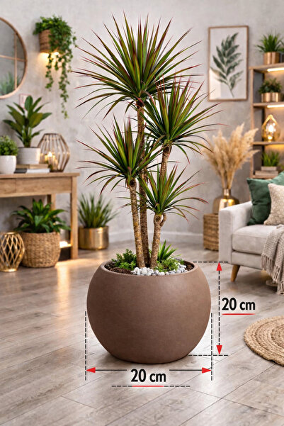 CANBOTANİK Küre Saksı 20 Cm Saksı Beyaz Plastik Saksı Çiçek Saksısı