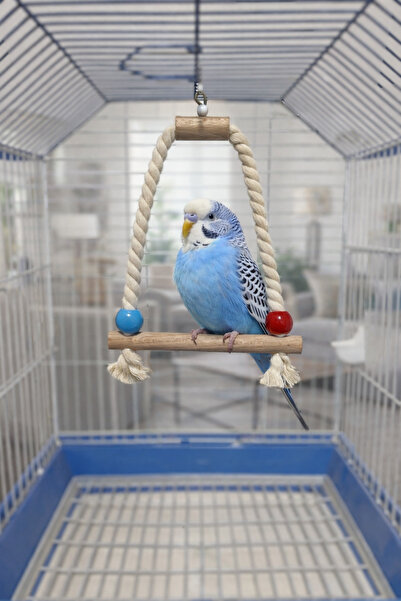 Wooden Bird Muhabbet Kuşu Ipli Salıncak